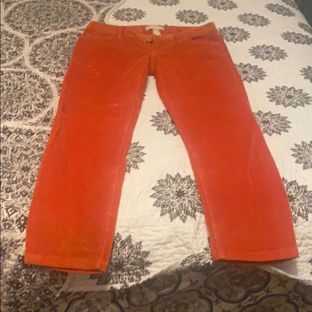 Suede pant
